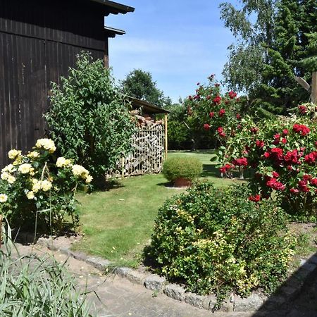 Comfortable Apartment In A Quiet Location Zweedorf Экстерьер фото